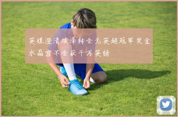 英媒澄清埃泽转会无英超冠军奖金水晶宫不会获千万英镑