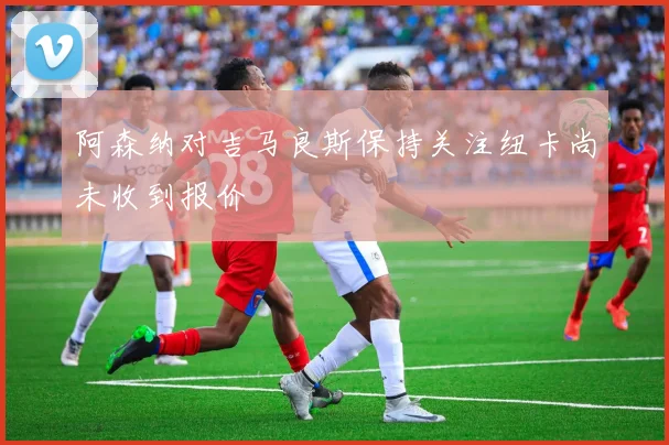 阿森纳对吉马良斯保持关注纽卡尚未收到报价