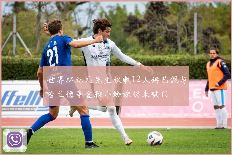 世界杯亿元先生仅剩12人姆巴佩与哈兰德争金靴小蜘蛛仍未破门