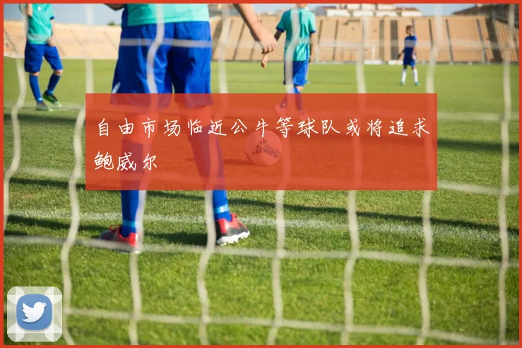 自由市场临近公牛等球队或将追求鲍威尔