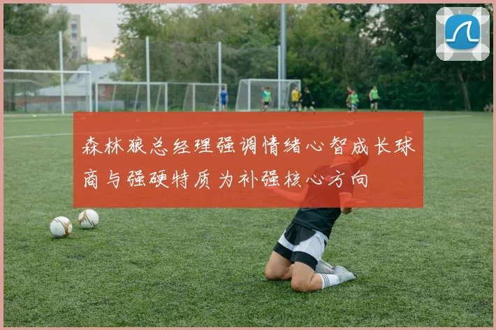 森林狼总经理强调情绪心智成长球商与强硬特质为补强核心方向